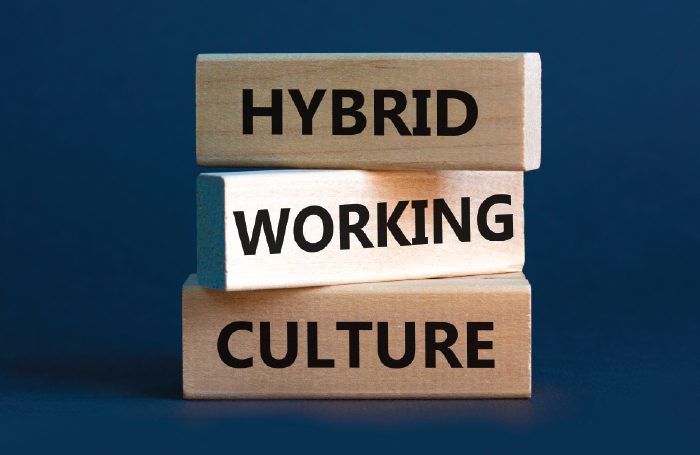 What Makes a Strong and Long-Lasting Hybrid Culture? Current Best Practices to Consider